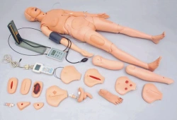 Multifunctional Patient Care Manikin 2400