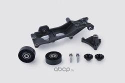 Tensioner Roller Kit with Bracket, Cover, and Fasteners 409050.1029016-01
