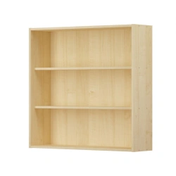 Wall Display Case for Showcasing Items