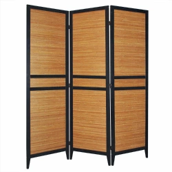 Portable Theater Screen - Room Divider for Dressing Areas