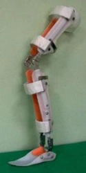 Ankle and Knee Joint Rehabilitation Device