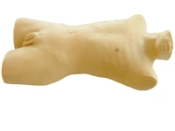 Bone Marrow Aspiration Training Simulator, CK816