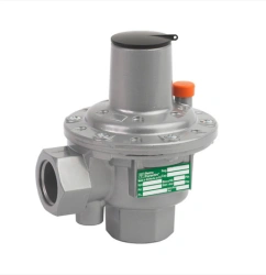 Pressure Relief Valves & Rupture Disks