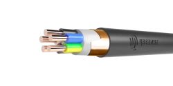 Power Cables with Plastic Insulation for 0.66 and 1 kV, PvVGé Type