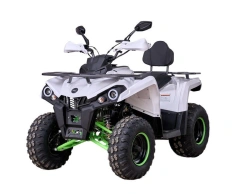 SHPQ Series Quadricycle - Off-Road Vehicle
