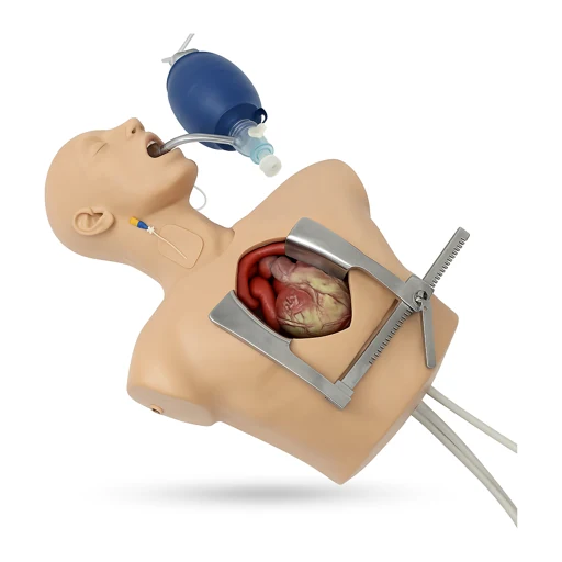 Surgical & Laparoscopic Simulators