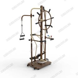 Post-Stroke Rehabilitation Trainer Captain