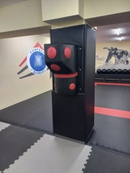 Wall-Mounted Boxing Pad - Adjustable Shape