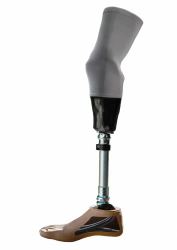 Modular Shin Prosthesis for Congenital and Amputation Defects PН3-92