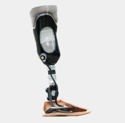 Modular Prosthesis Leg