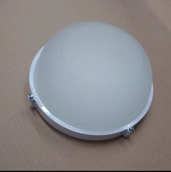 Anti-Vandal LED Ceiling Light SBO-600M IP54 (ledanti)