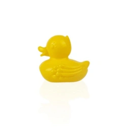Water Play Duck Toy