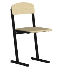 Student Chair for Growth Group 7