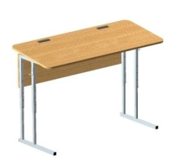 Adjustable School Desk for Students