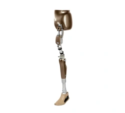 Modular Microprocessor-Controlled Hip Disarticulation Prosthesis