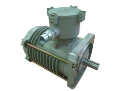 Explosion-Proof Three-Phase Asynchronous Electric Motors ELAS-M-X-X-X-UHL1