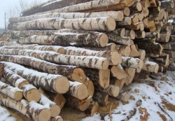 Long Firewood 6 Meters - GOST 3143-88