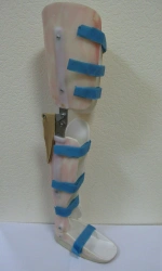 Ankle and Knee Joint Orthopedic Device for Rehabilitation