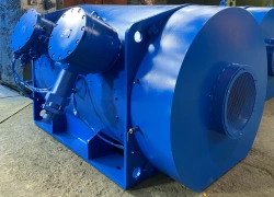 VAO-630M-4 Explosion-Proof High Voltage Induction Motor