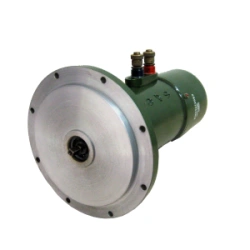 DC Electric Motor