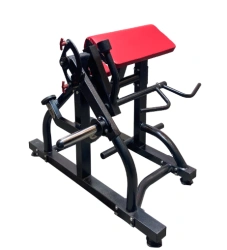 Professional Free Weight Biceps and Triceps Machine