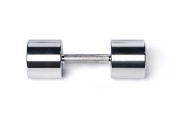 Chrome Dumbbell 11 kg