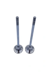 Air Intake Valve for Cummins QSV91G - RDG 4014134