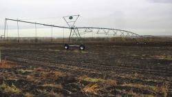 ZDM Circular Irrigation Machine DMKB for Agricultural Use