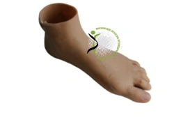 Foot Prosthesis PN0-OR