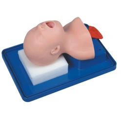 Intubation Trainer