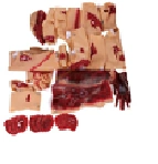 G110-43 Trauma and Injury Simulation Kit