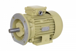 DM112 Three-Phase Asynchronous Motor (750W)