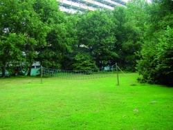 Anti-vandal Volleyball Posts for Outdoor Use