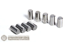 Cylindrical Roller 5.5*9 HN VI for Industrial Applications