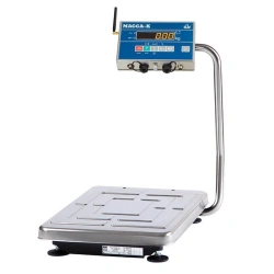 General Purpose Electronic Scales TB-S-15.2-AV(RUEW)2