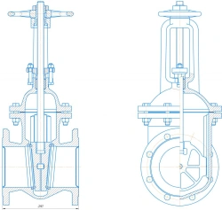 Wedge Gate Valve Cast Iron DN 150