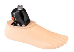 Prosthetics & Orthopedics