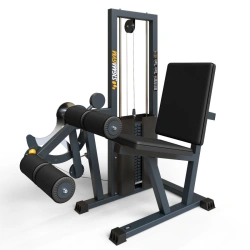 Hip Flexor and Extensor Machine BF-139.1