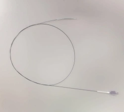 Biodegradable Drug-Eluting Coronary Stents "R-OLIMUS