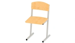 Non-Regulated Student Chair 5th Grade 203.006