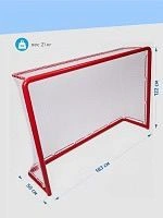 VITOKIN Portable Hockey Training Goals - Size 183x122 cm
