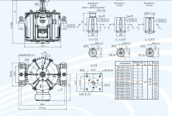 General Purpose Vertical Induction Motors Series DAV 250, Max 75 kW