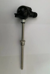 Resistance Temperature Detector TSP 002-2-200-100P-V-2-10-120 DDJ2.821.002 TU