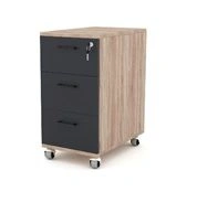 Mobile Storage Cabinet ATM11 (Icon)