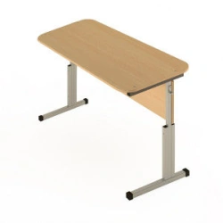 Standard Student Desk with Metal Frame