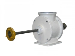 R1-ZSh-00 Pneumatic Gate Valve for Bulk Materials