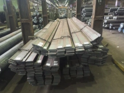 Hot-Rolled Strip Steel for Hot Metal Forming Dies