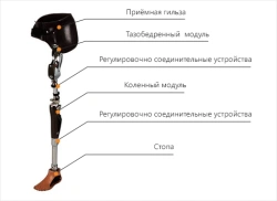 Modular Microprocessor-Controlled Thigh Prosthesis