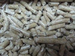 Eco-Friendly Wood Fuel Pellets for Heating and Energy Production