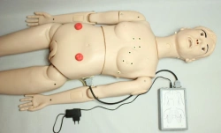 ECG Electrode Placement Training Mannequin, ROST-ECG